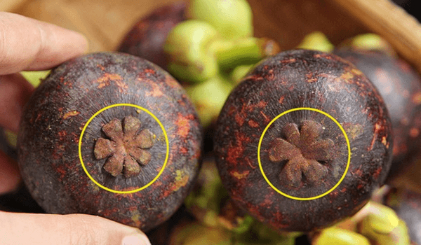 Mangosteen