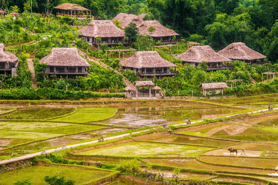 mai chau